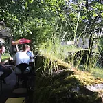Restaurant Les Platanes *