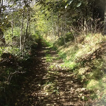 Hotel Restaurant Les Platanes Montfaucon-en-Velay