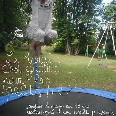 Restaurant Les Platanes Hotel Montfaucon-en-Velay