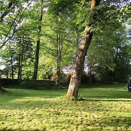 Restaurant Les Platanes * Montfaucon (Haute-Loire)