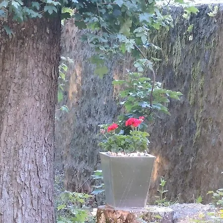 Hotel Restaurant Les Platanes Montfaucon-en-Velay