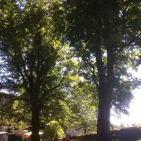 Restaurant Les Platanes *