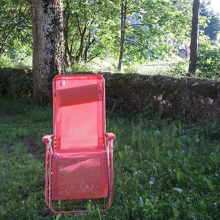 Restaurant Les Platanes Hotel Montfaucon-en-Velay