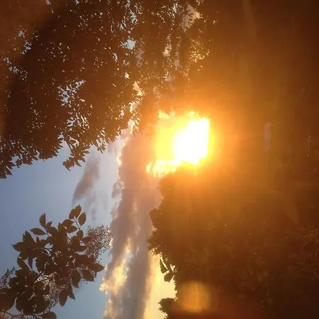 Hotel Restaurant Les Platanes Montfaucon-en-Velay