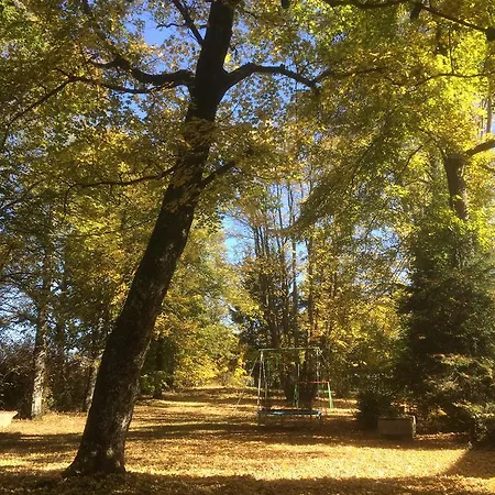 Hotel Restaurant Les Platanes