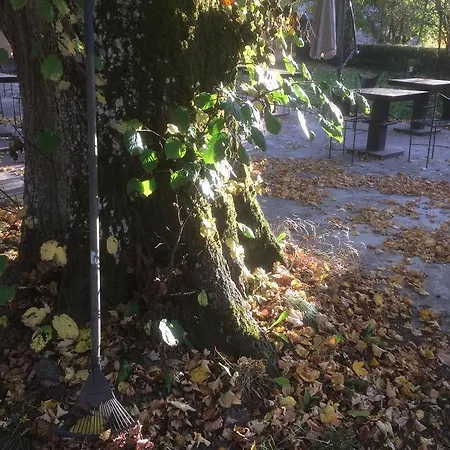 Hotel Restaurant Les Platanes Montfaucon-en-Velay