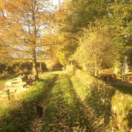 Restaurant Les Platanes Hotel Montfaucon-en-Velay